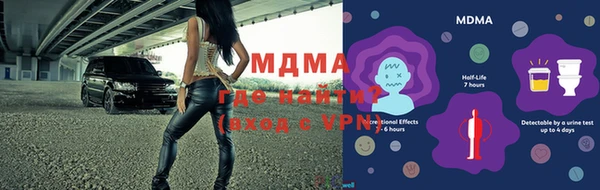 стаф Алзамай