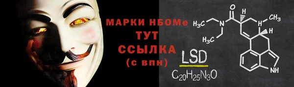 стаф Алзамай