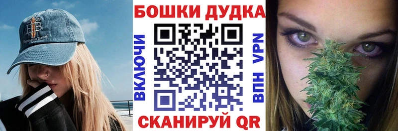 mega онион  Киселёвск  Бошки Шишки SATIVA & INDICA  где найти  